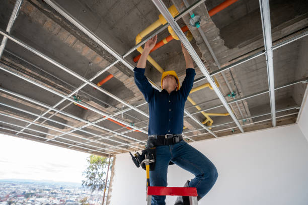 Best Local Plumber Services  in Holiday Island, AR