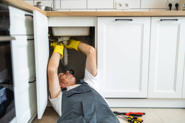 Best Sprinkler Systems  in Holiday Island, AR